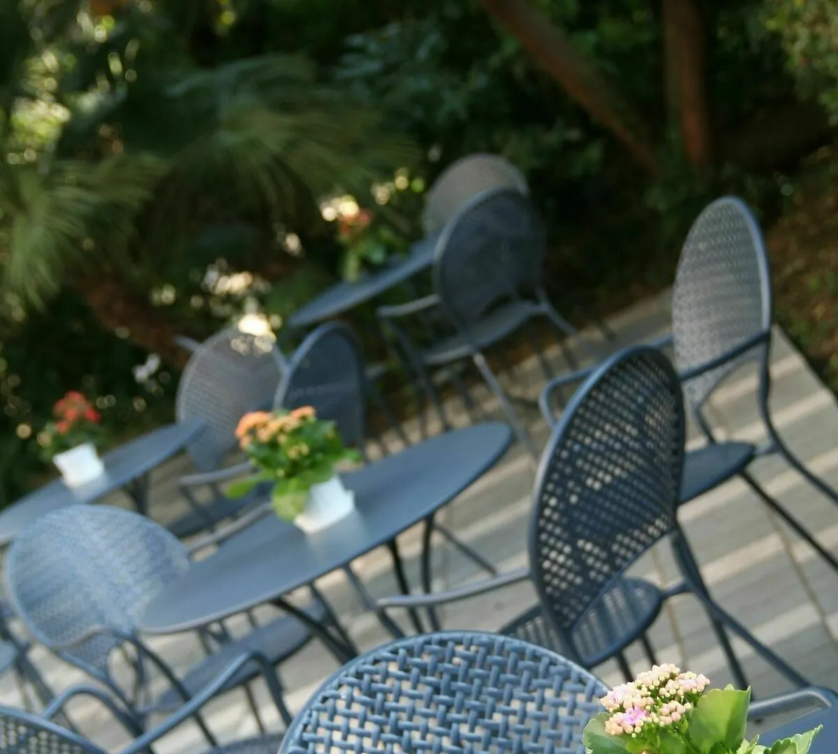 Hotel Augustus Riccione
